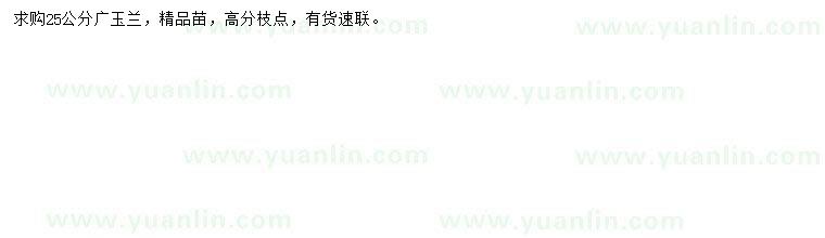 求購(gòu)25公分廣玉蘭