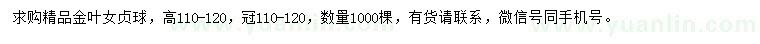 求購高110-120公分精品金葉女貞球