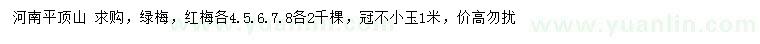 求購4、5、6、7、8公分綠梅、紅梅