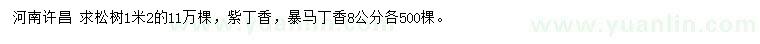 求購(gòu)松樹、紫丁香、暴馬丁香