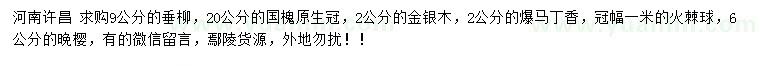 求購垂柳、國槐、金銀木等