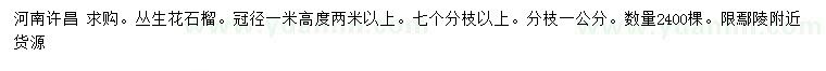 求購冠徑1米叢生花石榴