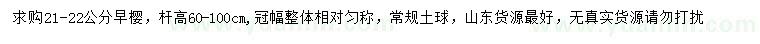 求購21-22公分早櫻
