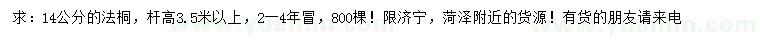 求購(gòu)14公分法桐