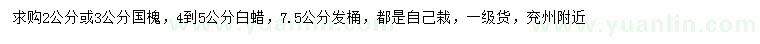 求購(gòu)國(guó)槐、白蠟、法桐