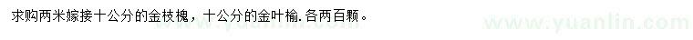 求購(gòu)10公分金枝槐、金葉榆