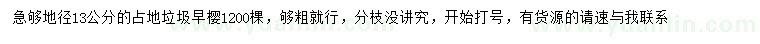 求購(gòu)地徑13公分早櫻