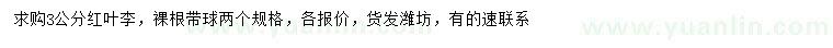 求購3公分紅葉李