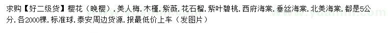 求購櫻花、晚櫻、美人梅等