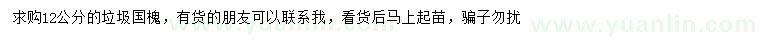 求購(gòu)12公分垃圾國(guó)槐