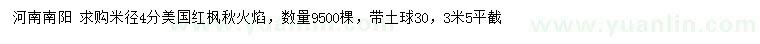 求購米徑4分美國紅楓秋火焰