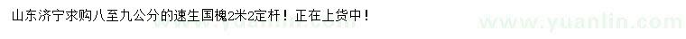 求購(gòu)8-9公分速生國(guó)槐