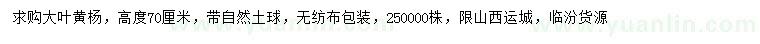 求購(gòu)高度70公分大葉黃楊