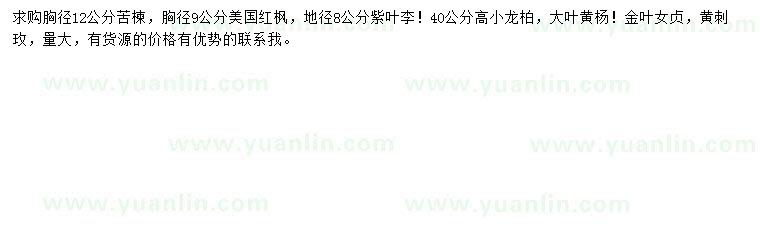 求購苦楝、美國紅楓、紫葉李等