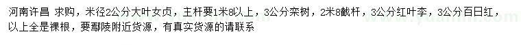 求購大葉女貞、欒樹、紅葉李等