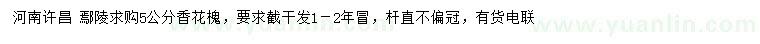 求購5公分香花槐