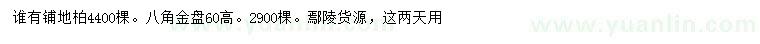 求購鋪地柏、八角金盤