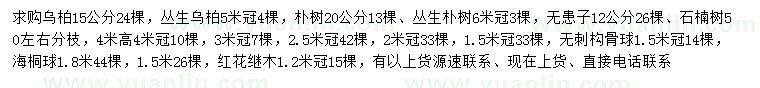 求購烏桕、叢生烏桕、樸樹等