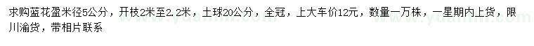 求購(gòu)米徑5公分藍(lán)花盈