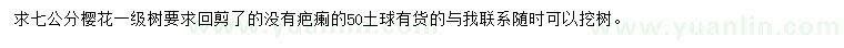 求購7公分櫻花