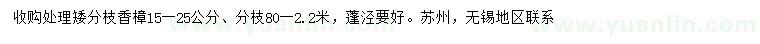 求購(gòu)15-25公分香樟