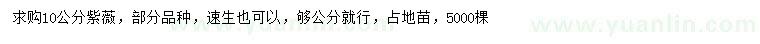 求購10公分占地紫薇