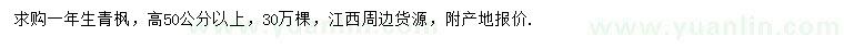 求購高50公分以上青楓