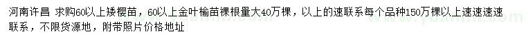 求購(gòu)60公分以上矮櫻苗、金葉榆苗