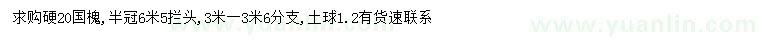 求購硬20公分國槐