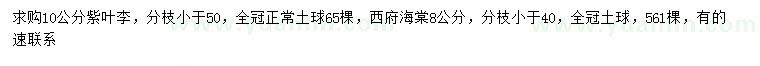 求購(gòu)10公分紫葉李、8公分西府海棠