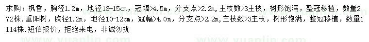求購(gòu)胸徑1.2米楓香、重陽(yáng)樹(shù)