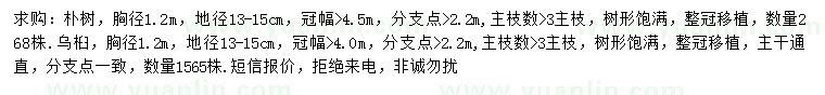 求購胸徑1.2米樸樹、烏桕