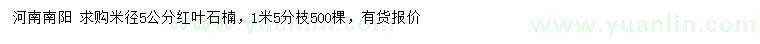 求購米徑5公分紅葉石楠
