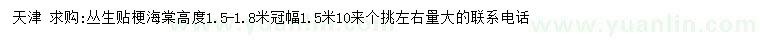 求購高度1.5-1.8米叢生貼梗海棠