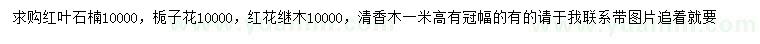 求購紅葉石楠、梔子花、紅花繼木等