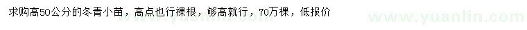 求購高50公分冬青小苗