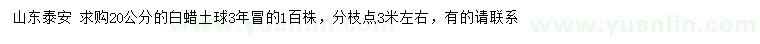 求購20公分白蠟