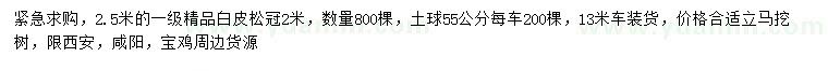 求購2.5米白皮松