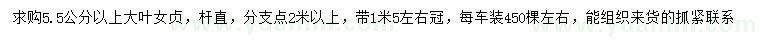 求購(gòu)5.5公分以上大葉女貞