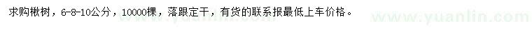 求購(gòu)6、8、10公分楸樹