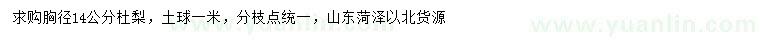 求購(gòu)胸徑14公分杜梨