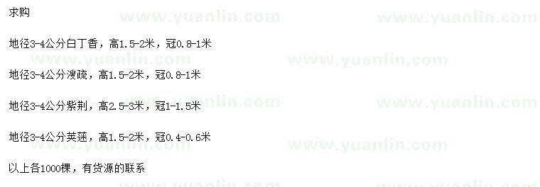 求購(gòu)白丁香、溲疏、紫荊等