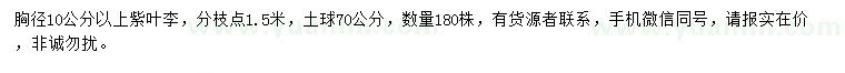 求購胸徑10公分以上紫葉李