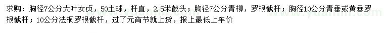 求購大葉女貞、青柳、青垂等