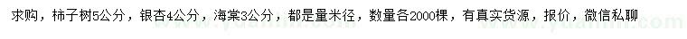 求購柿子樹、銀杏、海棠