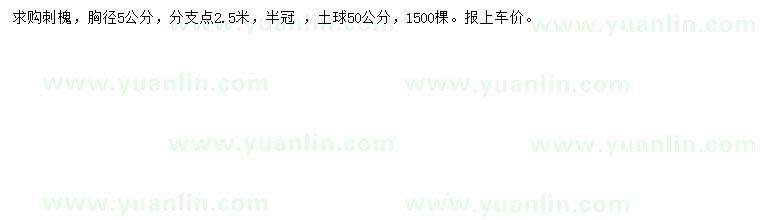 求購(gòu)胸徑5公分刺槐