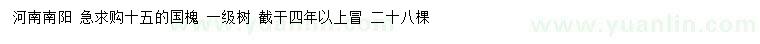 求購15公分國槐
