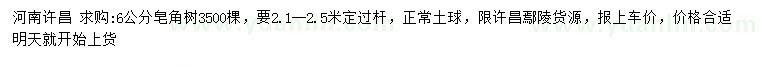 求購6公分皂角樹