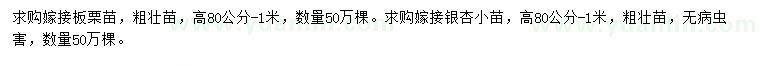 求購高80-100公分嫁接板栗苗、嫁接銀杏小苗