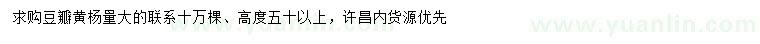 求購高50公分以上豆瓣黃楊